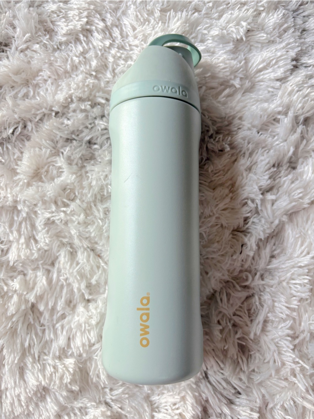 Owala Mint Green Insulated Water Bottle • 24oz